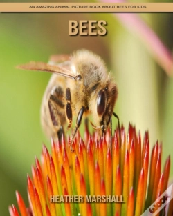 Capa do artigo Bees