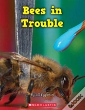 Capa do artigo Bees In Trouble