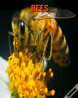 Capa do artigo Bees