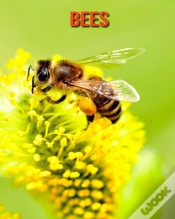 Capa do artigo Bees