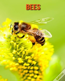 Capa do artigo Bees