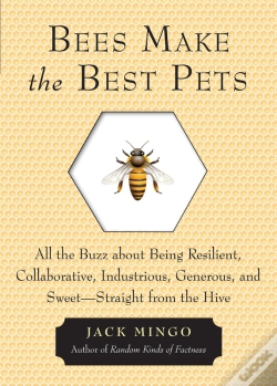 Capa do artigo Bees Make The Best Pets