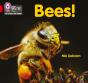 Bees! - Preview