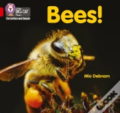 Capa do artigo Bees!