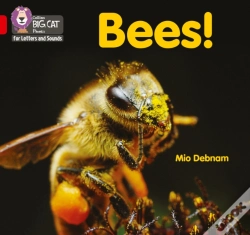 Capa do artigo Bees!
