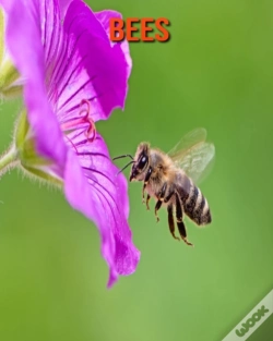 Capa do artigo Bees