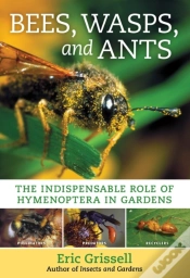 Capa do artigo Bees, Wasps, And Ants