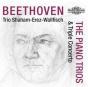 Beethoven: The Piano Trios & Triple Concerto - CD - Preview