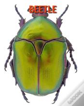 Beetle
