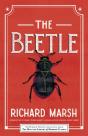 Beetle - Preview