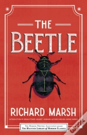 Capa do artigo Beetle