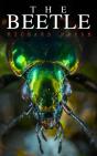 Beetle - Preview