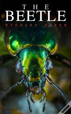 Capa do artigo Beetle