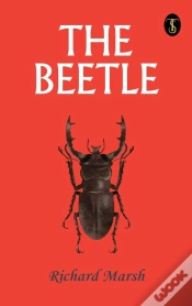 Capa do artigo Beetle