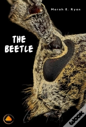 Capa do artigo Beetle