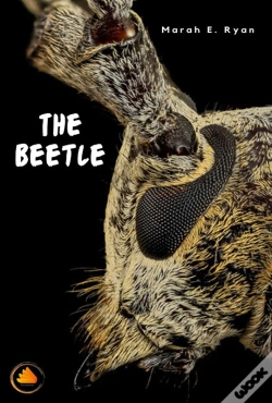 Capa do artigo Beetle