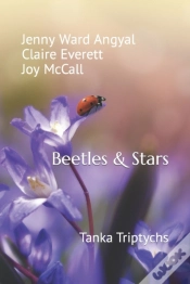 Capa do artigo Beetles & Stars