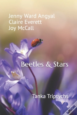 Capa do artigo Beetles & Stars