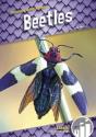 Beetles - Preview