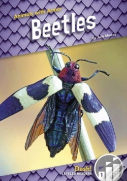 Capa do artigo Beetles