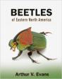 Beetles Of Eastern North America - Preview