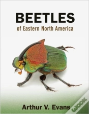 Capa do artigo Beetles Of Eastern North America