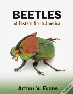 Capa do artigo Beetles Of Eastern North America