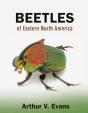 Beetles Of Eastern North America - Preview