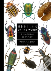 Beetles Of The World
