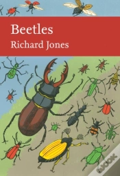 Capa do artigo Beetles