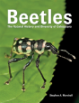 Beetles - Preview