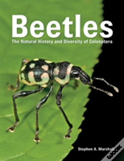 Capa do artigo Beetles