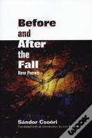 Before And After The Fall