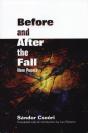 Before And After The Fall - Preview
