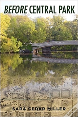 Capa do artigo Before Central Park