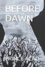 Before Dawn - Preview