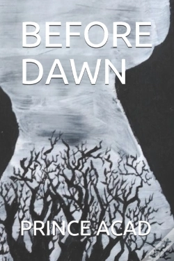 Capa do artigo Before Dawn