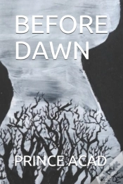Capa do artigo Before Dawn