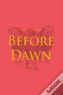 Before Dawn