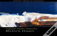 Before Dawn