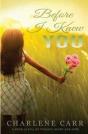 Before I Knew You - Preview