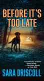 Before It'S Too Late - Preview