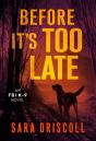 Before It'S Too Late - Preview