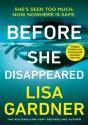 Before She Disappeared - Preview