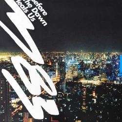 Capa do artigo Before The Dawn Heals Us - Vinil