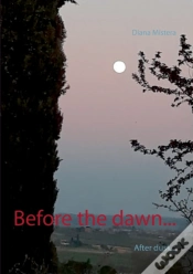 Capa do artigo Before The Dawn...