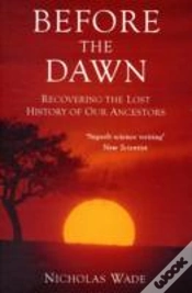 Capa do artigo Before The Dawn
