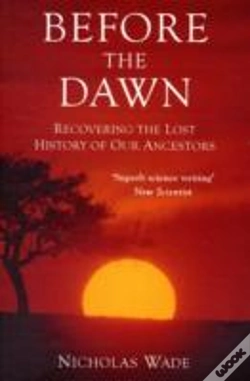 Capa do artigo Before The Dawn