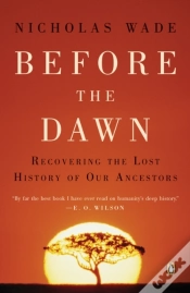 Capa do artigo Before The Dawn