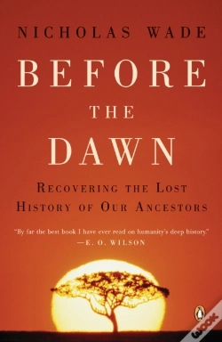 Capa do artigo Before The Dawn